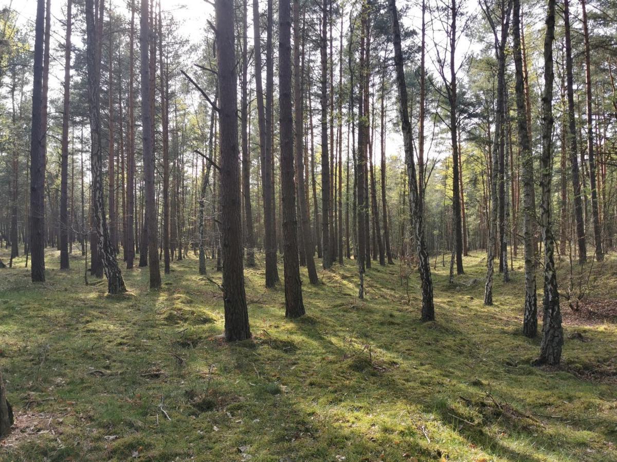 M&K Apartamenty - Morska Bryza, Sobieszewo- Wyspa Sobieszewwska Gdańsk Exterior foto